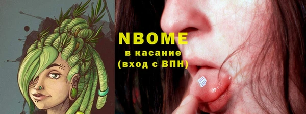 шишки Аркадак