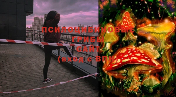 мяу мяу мука Армянск