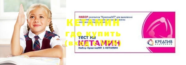шишки Аркадак