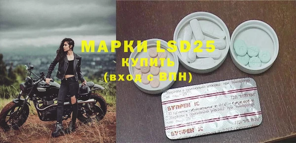 шишки Аркадак