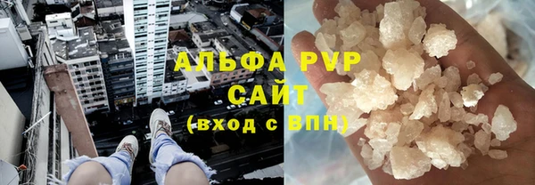 шишки Аркадак