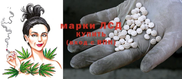 шишки Аркадак