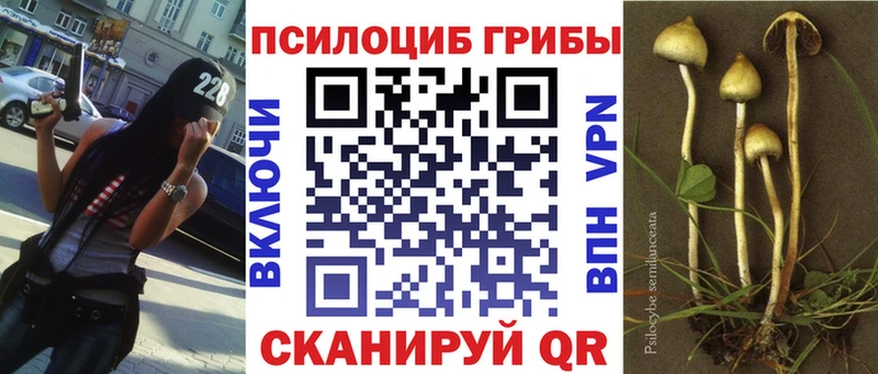 наркошоп Ростов дарк нет наркотические препараты Галлюциногенные грибы Cubensis