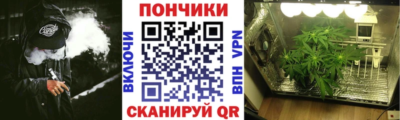 OMG зеркало Ростов Марихуана OG Kush